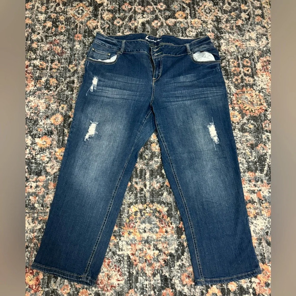Lane Bryant Denim - LANE BRYANT Denim size 22